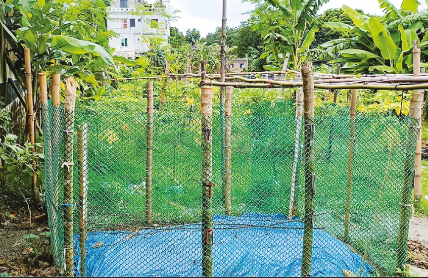 Image of মো: জোবায়ের বেপারী